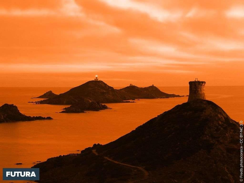 Oliveraie D'Olmiccia Εξωτερικό φωτογραφία
