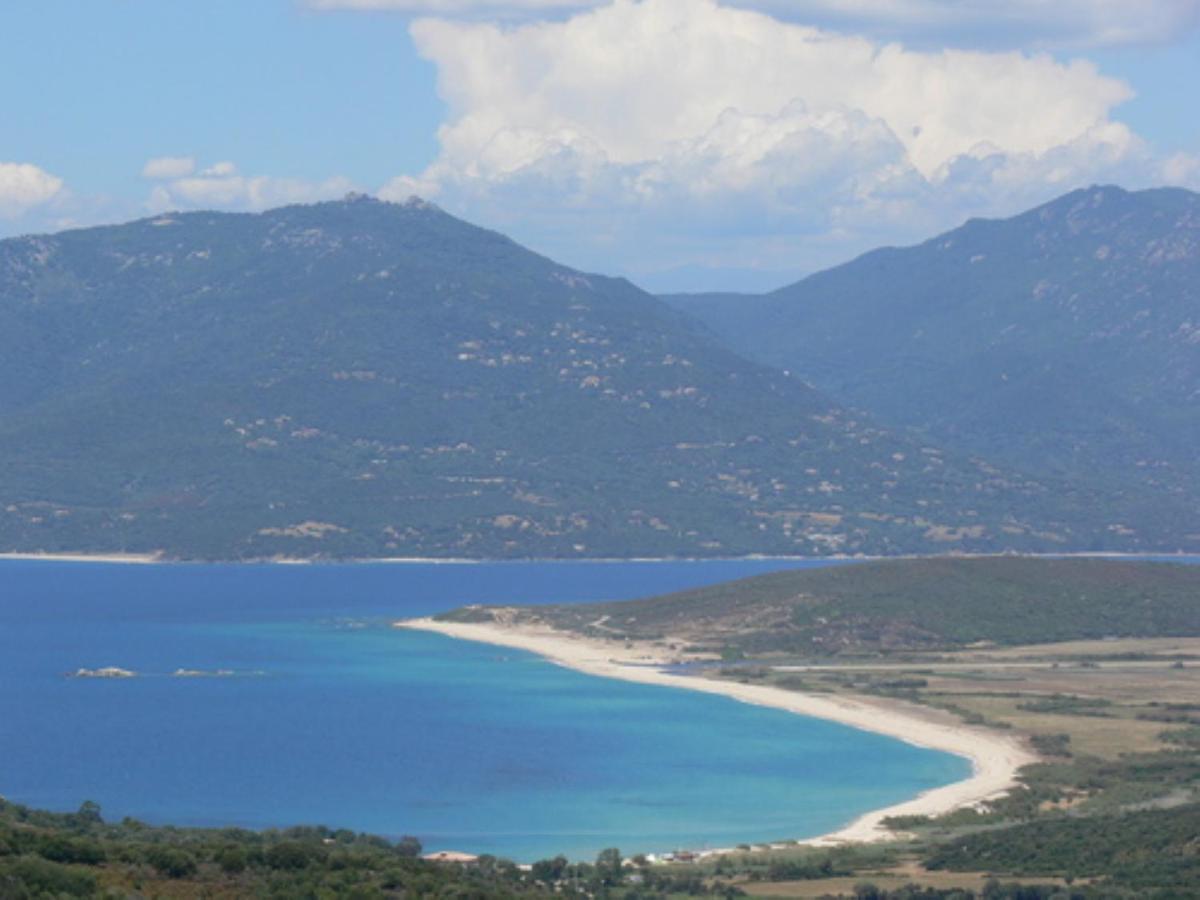Oliveraie D'Olmiccia Εξωτερικό φωτογραφία