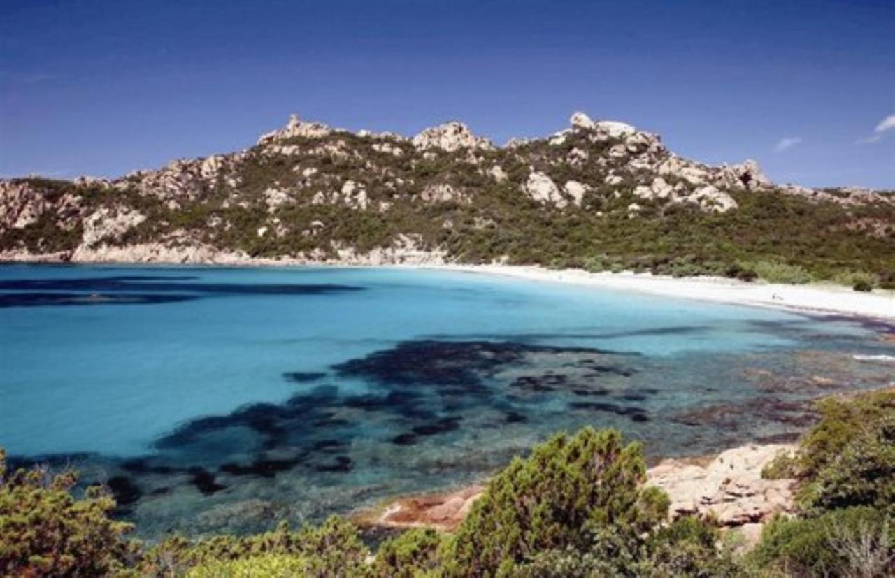 Oliveraie D'Olmiccia Εξωτερικό φωτογραφία