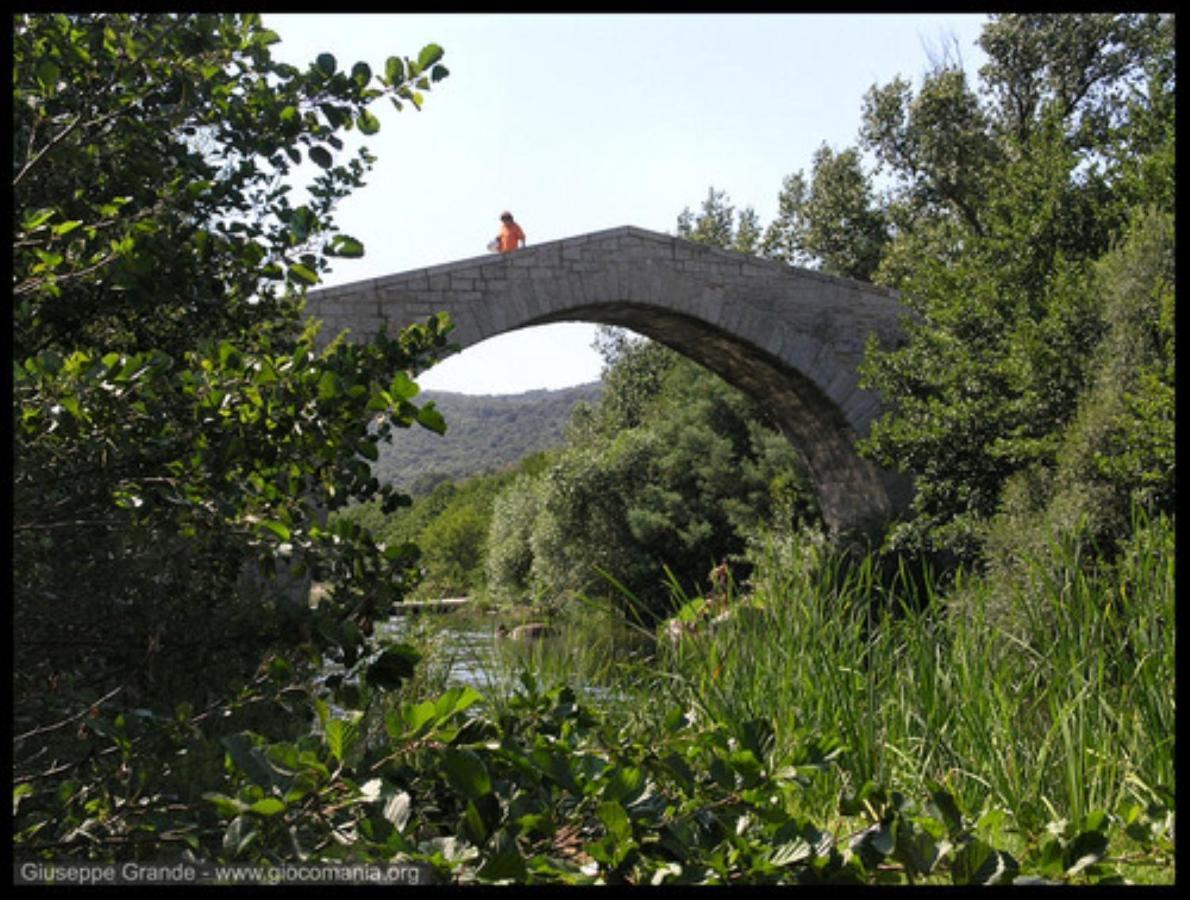 Oliveraie D'Olmiccia Εξωτερικό φωτογραφία
