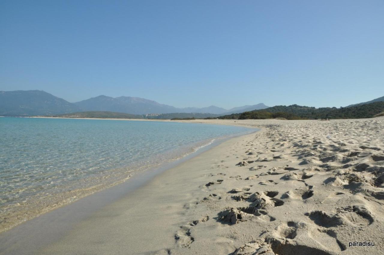 Oliveraie D'Olmiccia Εξωτερικό φωτογραφία