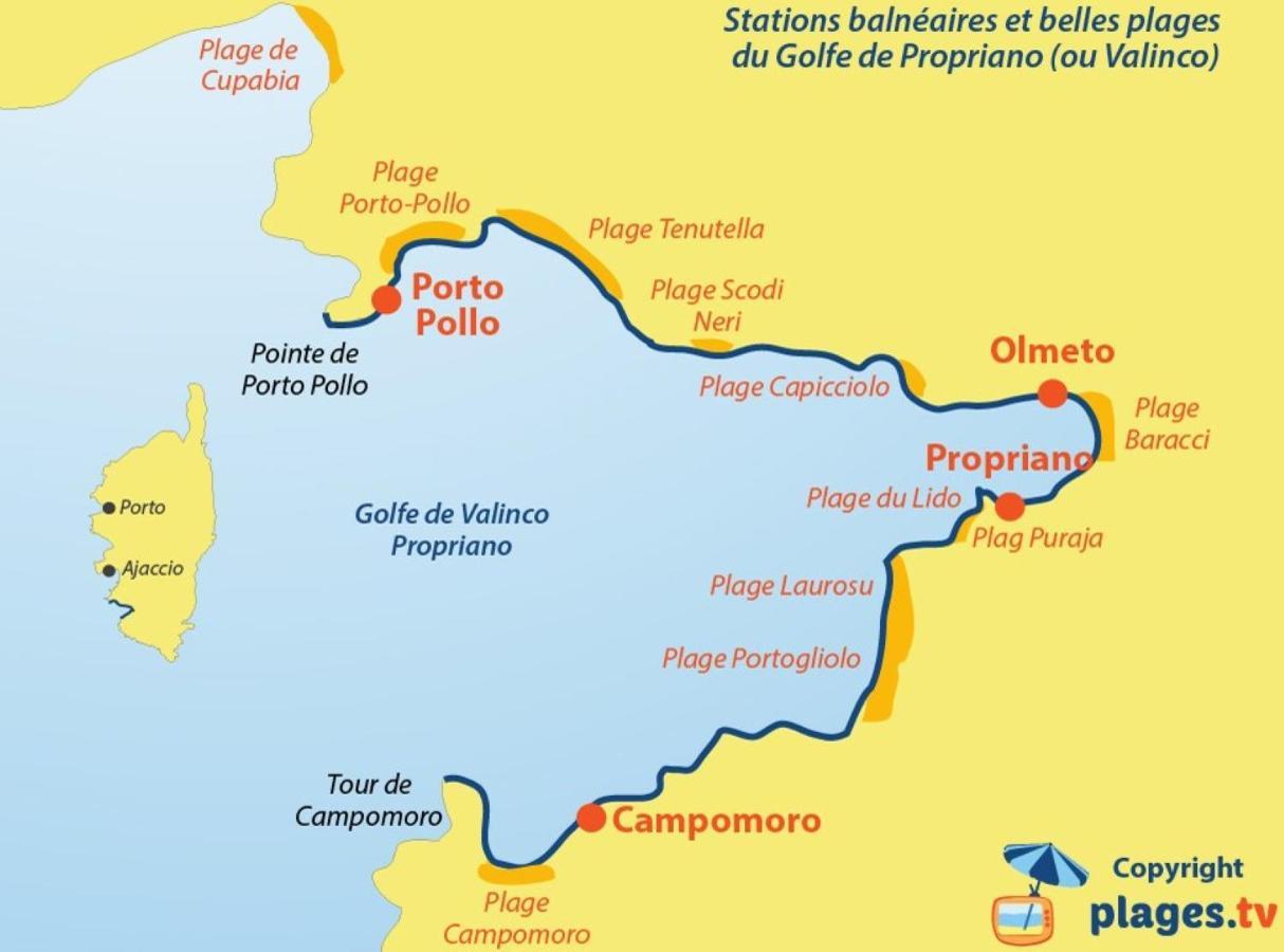 Oliveraie D'Olmiccia Εξωτερικό φωτογραφία